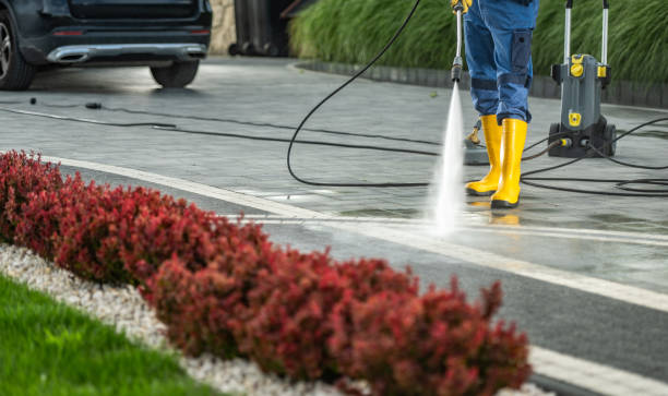 Boat and Dock Cleaning